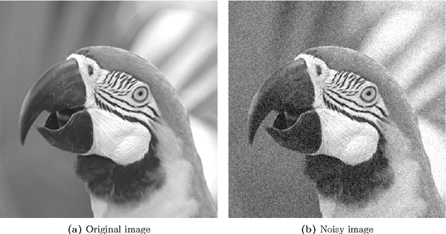 Figure 1 for The structure of optimal parameters for image restoration problems