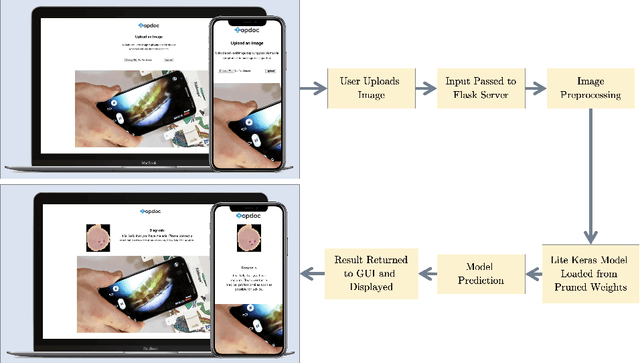 Figure 1 for End-to-end Malaria Diagnosis and 3D Cell Rendering with Deep Learning