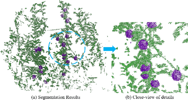 Figure 2 for Semantic Segmentation of Fruits on Multi-sensor Fused Data in Natural Orchards