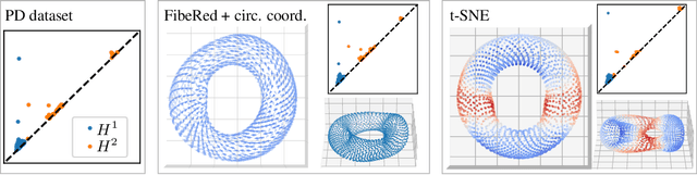 Figure 3 for Fiberwise dimensionality reduction of topologically complex data with vector bundles
