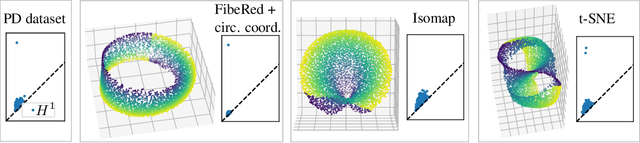 Figure 4 for Fiberwise dimensionality reduction of topologically complex data with vector bundles