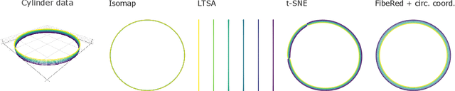 Figure 1 for Fiberwise dimensionality reduction of topologically complex data with vector bundles