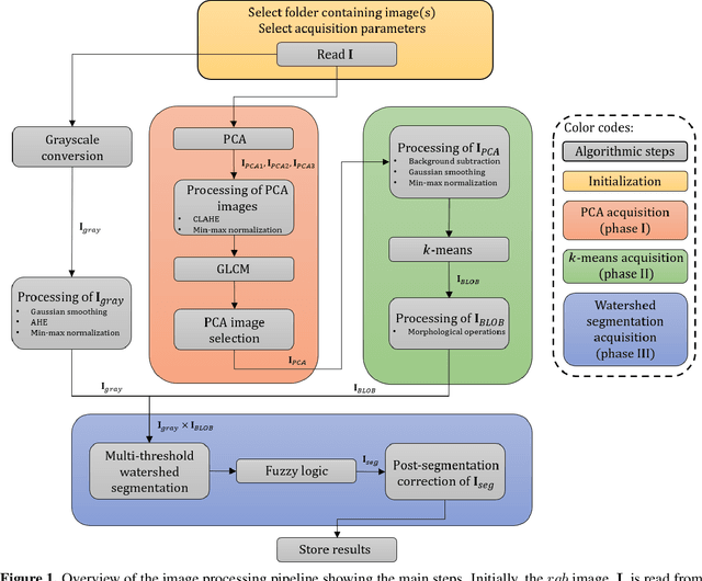 Figure 1 for Principal component-based image segmentation: a new approach to outline in vitro cell colonies