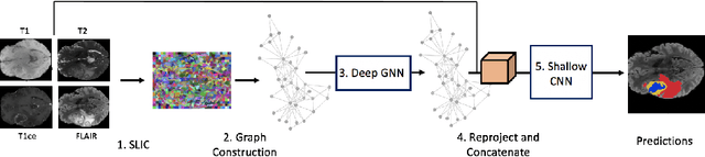 Figure 1 for A Joint Graph and Image Convolution Network for Automatic Brain Tumor Segmentation