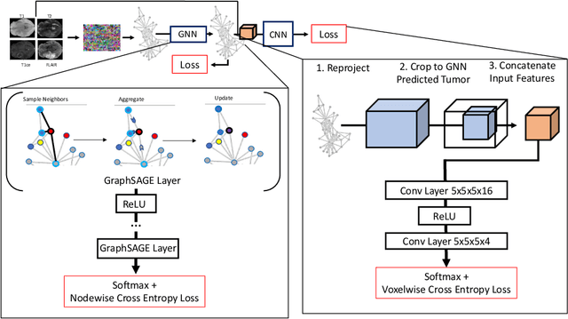 Figure 3 for A Joint Graph and Image Convolution Network for Automatic Brain Tumor Segmentation