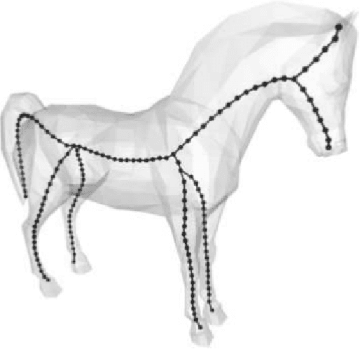 Figure 4 for Automated Body Structure Extraction from Arbitrary 3D Mesh