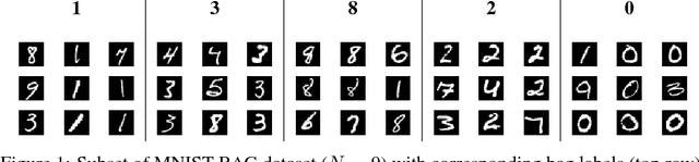 Figure 1 for Cluster-Based Learning from Weakly Labeled Bags in Digital Pathology