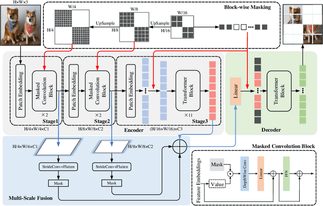 Figure 1 for ConvMAE: Masked Convolution Meets Masked Autoencoders