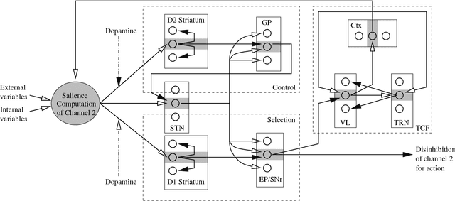 Figure 1 for Integration of navigation and action selection functionalities in a computational model of cortico-basal ganglia-thalamo-cortical loops