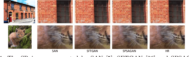Figure 1 for Super Resolution Using Segmentation-Prior Self-Attention Generative Adversarial Network