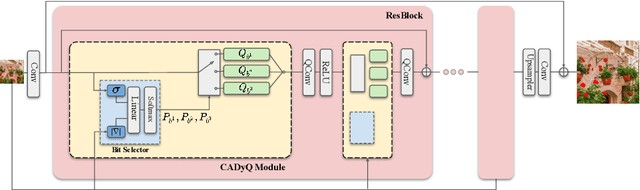 Figure 3 for CADyQ: Content-Aware Dynamic Quantization for Image Super-Resolution