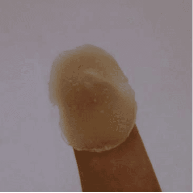 Figure 3 for Review of the Fingerprint Liveness Detection  competition series: 2009 to 2015