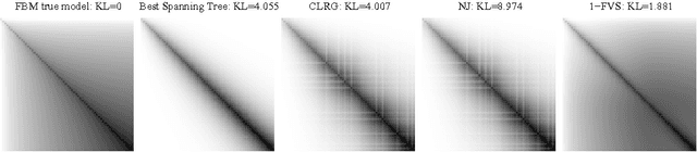 Figure 2 for Learning Gaussian Graphical Models with Observed or Latent FVSs
