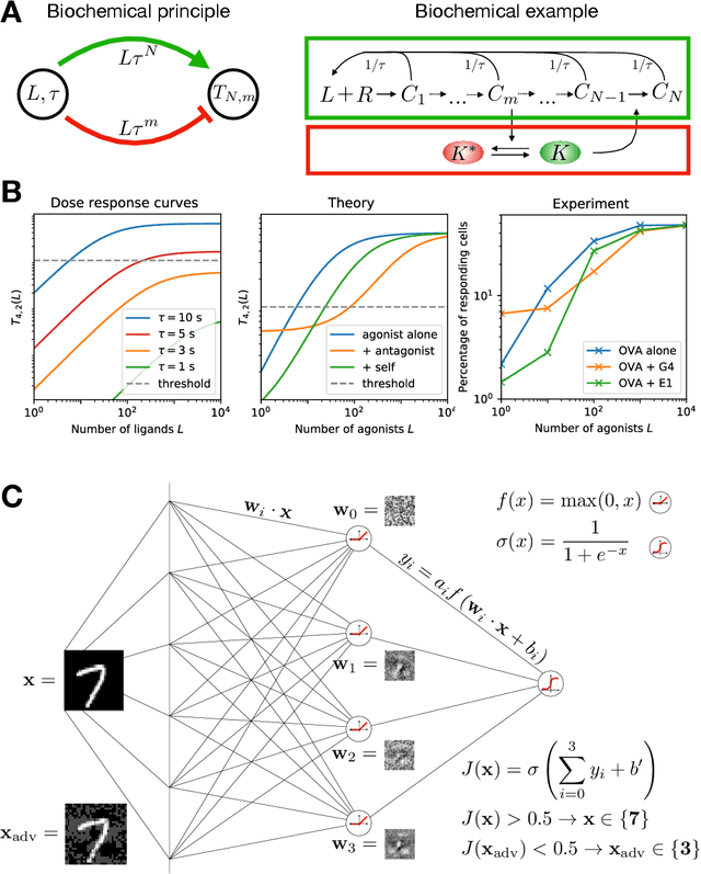 Figure 3 for Fooling the classifier: Ligand antagonism and adversarial examples