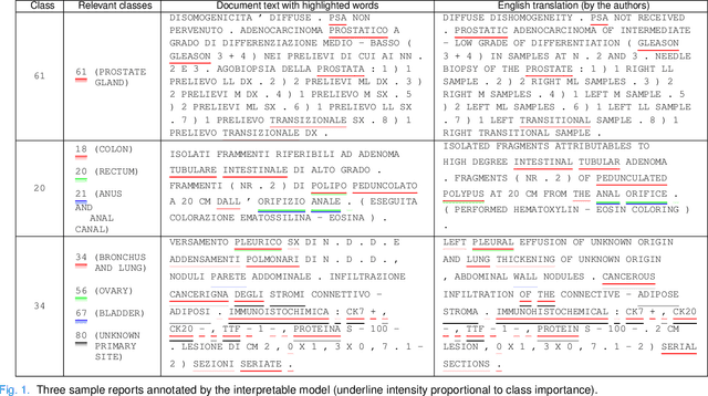 Figure 1 for Classification of cancer pathology reports: a large-scale comparative study