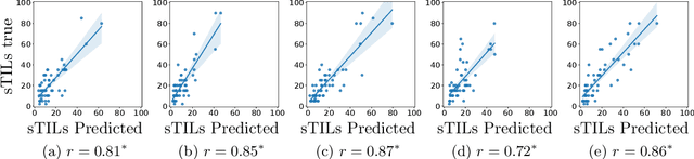 Figure 2 for WeakSTIL: Weak whole-slide image level stromal tumor infiltrating lymphocyte scores are all you need
