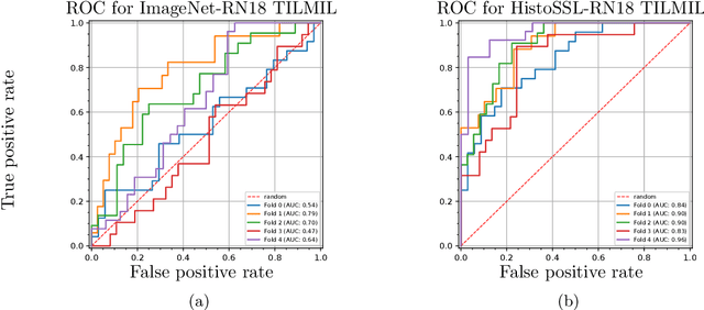 Figure 3 for WeakSTIL: Weak whole-slide image level stromal tumor infiltrating lymphocyte scores are all you need