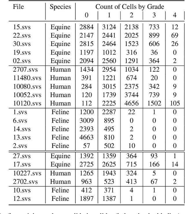 Figure 4 for Inter-Species Cell Detection: Datasets on pulmonary hemosiderophages in equine, human and feline specimens