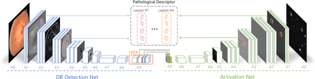Figure 3 for Pathological Evidence Exploration in Deep Retinal Image Diagnosis