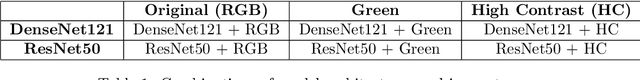 Figure 1 for Classification of Diabetic Retinopathy Severity in Fundus Images with DenseNet121 and ResNet50