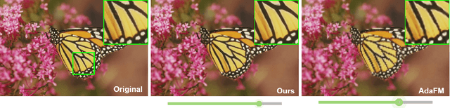 Figure 1 for One Size Fits All: Hypernetwork for Tunable Image Restoration