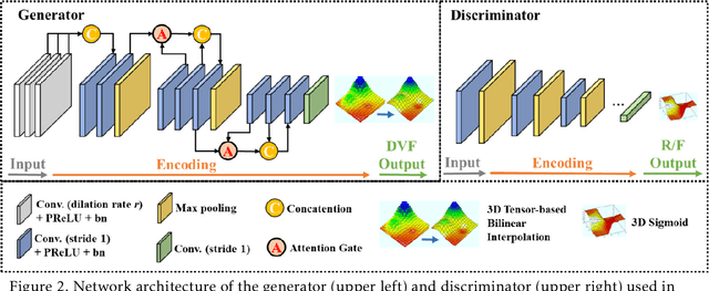 Figure 2 for Deformable Image Registration using Unsupervised Deep Learning for CBCT-guided Abdominal Radiotherapy