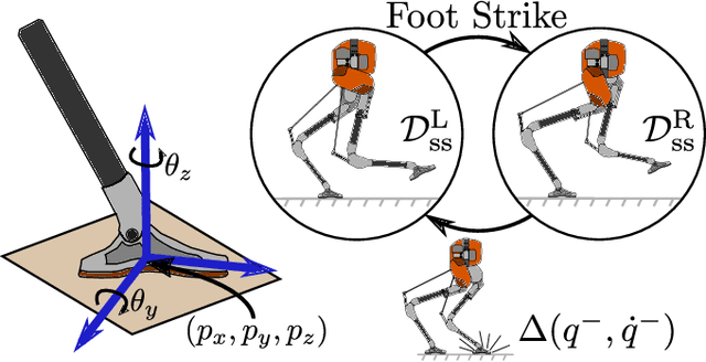 Figure 3 for Inverse Dynamics Control of Compliant Hybrid Zero Dynamic Walking