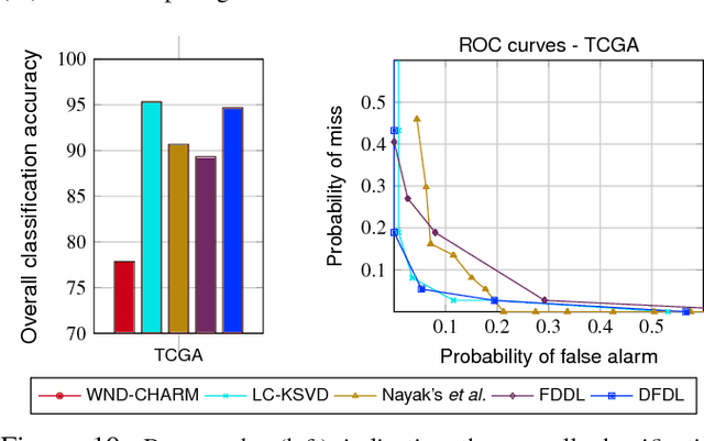 Figure 2 for Histopathological Image Classification using Discriminative Feature-oriented Dictionary Learning