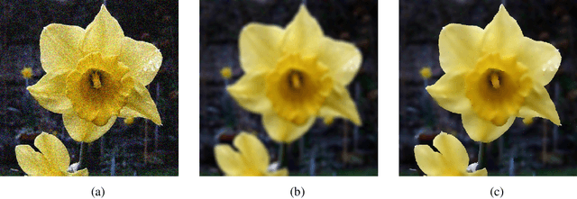 Figure 1 for Bilateral Operators for Functional Maps