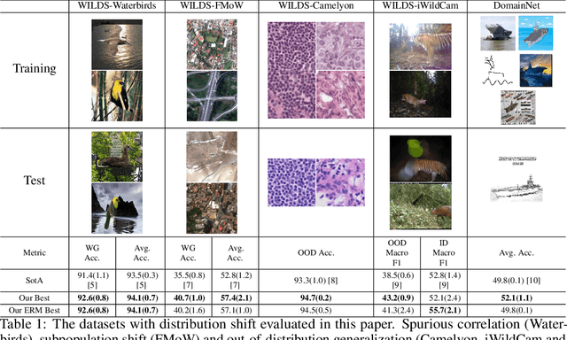 Figure 1 for An Empirical Study on Distribution Shift Robustness From the Perspective of Pre-Training and Data Augmentation