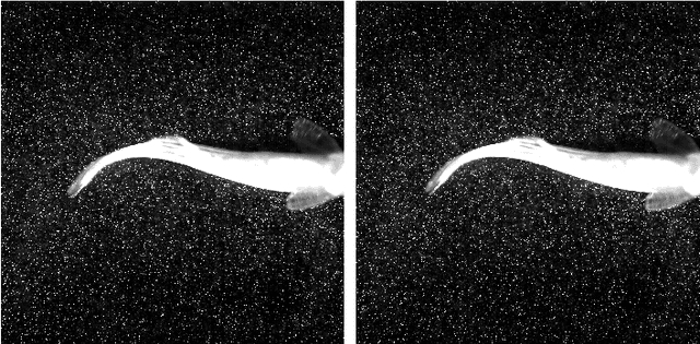 Figure 2 for A robust single-pixel particle image velocimetry based on fully convolutional networks with cross-correlation embedded