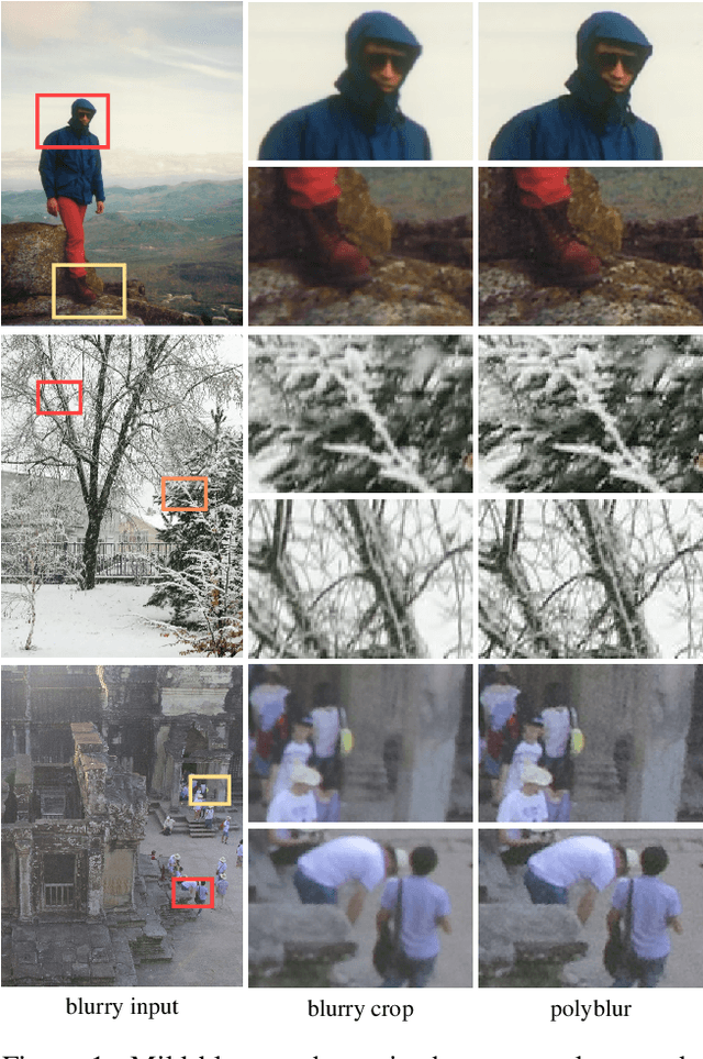 Figure 1 for Polyblur: Removing mild blur by polynomial reblurring