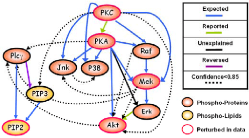 Figure 3 for FASK with Interventional Knowledge Recovers Edges from the Sachs Model