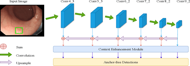 Figure 1 for AFP-Net: Realtime Anchor-Free Polyp Detection in Colonoscopy