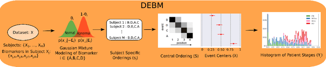 Figure 1 for Analyzing the effect of APOE on Alzheimer's disease progression using an event-based model for stratified populations