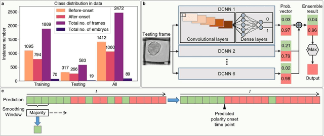 Figure 2 for Stain-free Detection of Embryo Polarization using Deep Learning