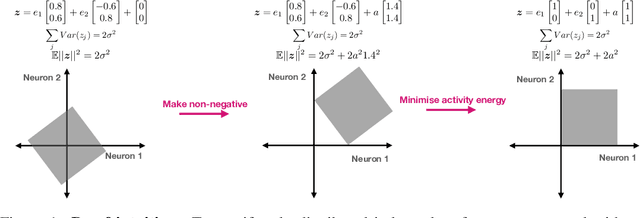 Figure 1 for Disentangling with Biological Constraints: A Theory of Functional Cell Types