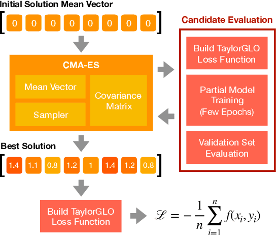 Figure 1 for Evolving Loss Functions with Multivariate Taylor Polynomial Parameterizations