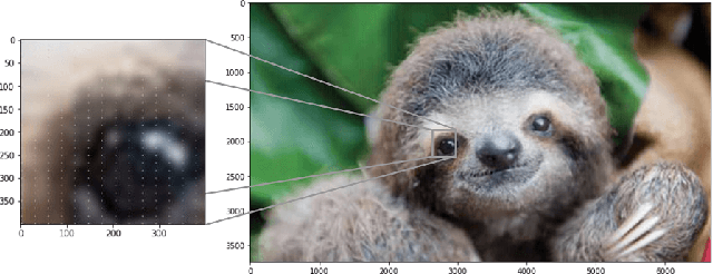 Figure 4 for Downscaling Attack and Defense: Turning What You See Back Into What You Get