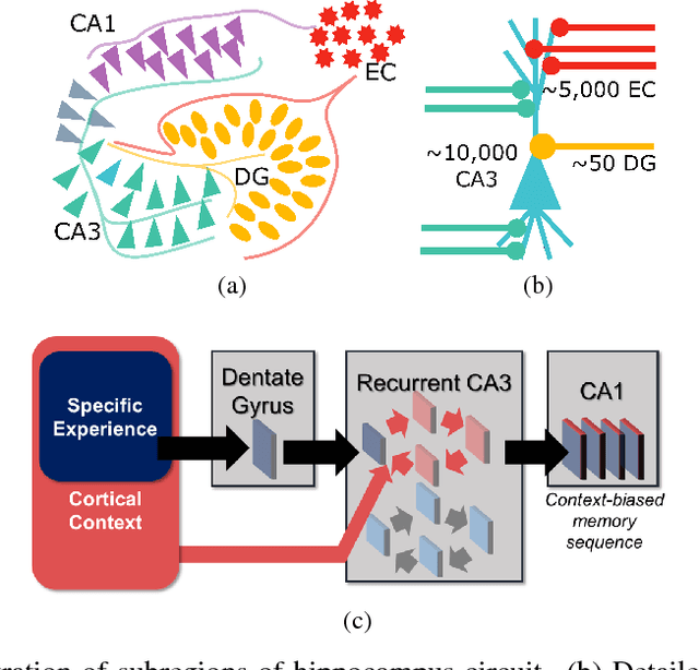 Figure 1 for Context-modulation of hippocampal dynamics and deep convolutional networks