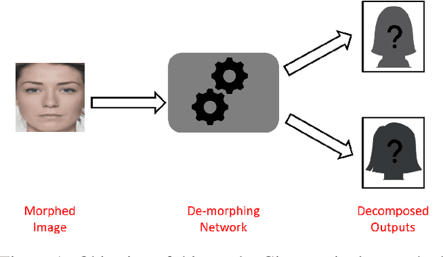 Figure 1 for Facial De-morphing: Extracting Component Faces from a Single Morph
