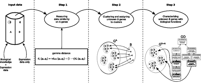 Figure 1 for Inferring unknown biological function by integration of GO annotations and gene expression data