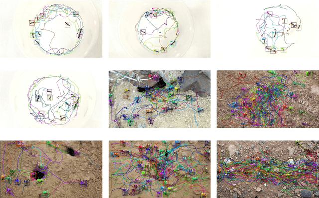 Figure 1 for Swarm behavior tracking based on a deep vision algorithm