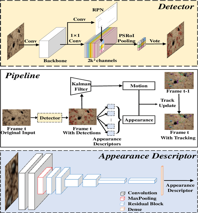 Figure 3 for Swarm behavior tracking based on a deep vision algorithm