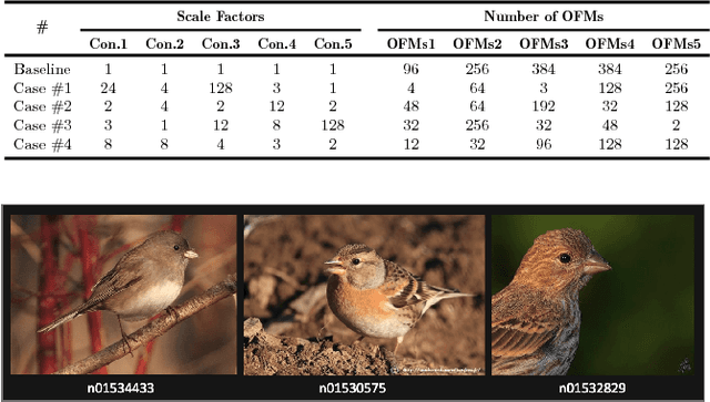 Figure 4 for Resource-Scalable CNN Synthesis for IoT Applications