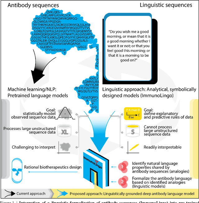 Figure 1 for ImmunoLingo: Linguistics-based formalization of the antibody language