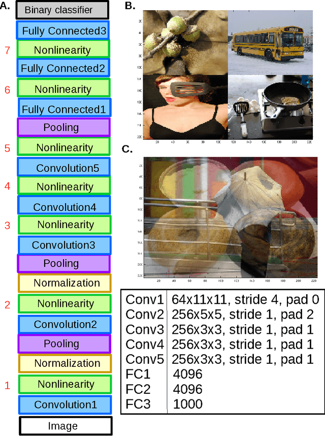 Figure 1 for Feature-based Attention in Convolutional Neural Networks