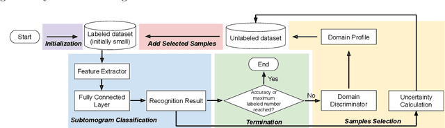 Figure 3 for Active Learning to Classify Macromolecular Structures in situ for Less Supervision in Cryo-Electron Tomography
