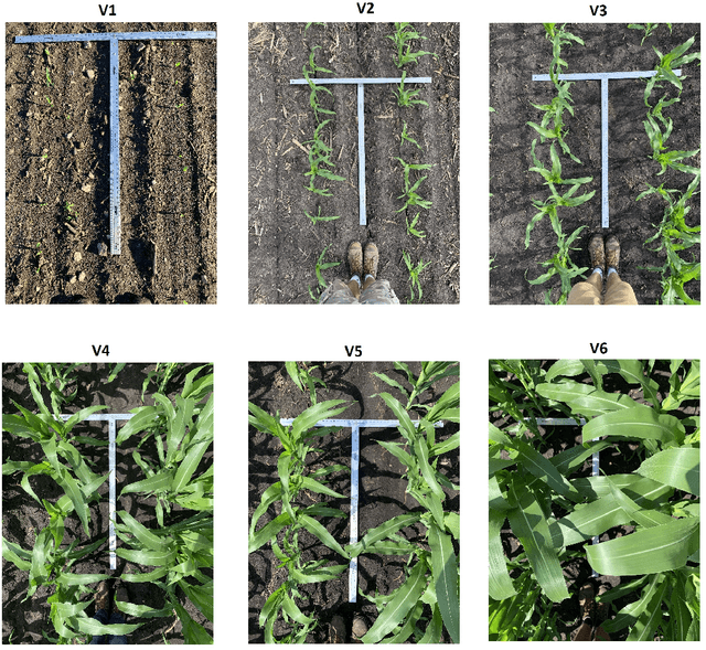 Figure 1 for High-Throughput Image-Based Plant Stand Count Estimation Using Convolutional Neural Networks