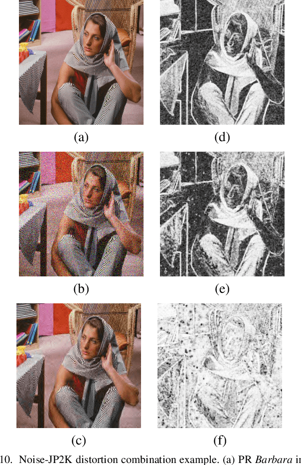 Figure 2 for Degraded Reference Image Quality Assessment